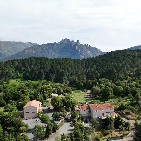 Les Hauts De Cavanello Zonza Exteriör bild