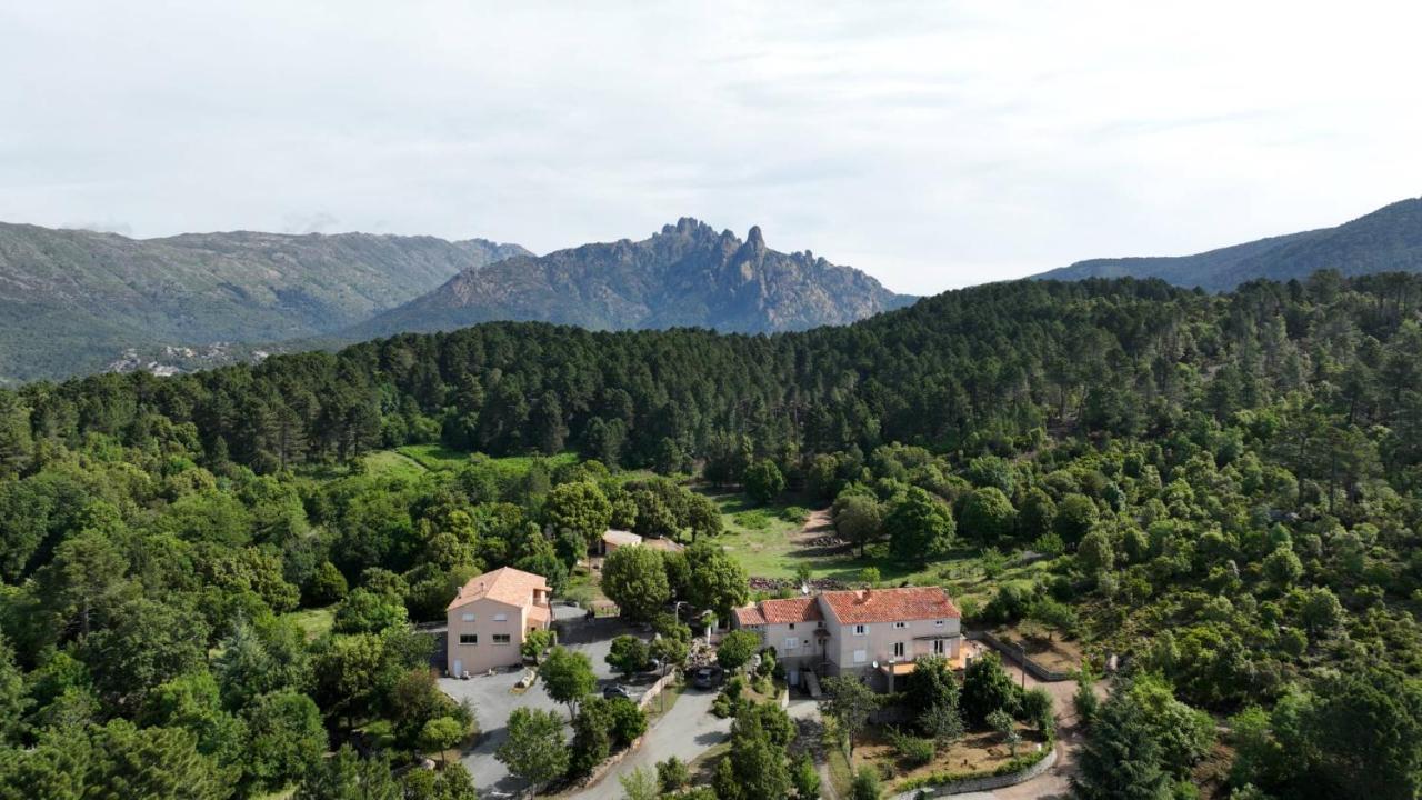 Les Hauts De Cavanello Zonza Exteriör bild